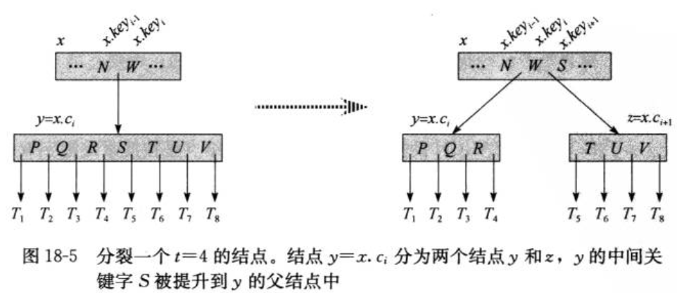 B树结点的分裂